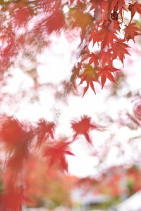 アサヒ山荘美術館