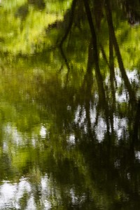 箕面の滝