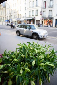 Place de la Bastille